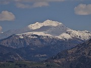 MONTE ZUCCO ad anello via linea tagliafuoco dalla Pernice (20apr21) - FOTOGALLERY